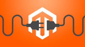 Introduction to Magento Extensions
