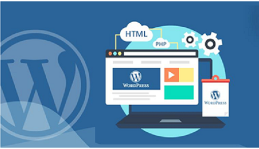 Become WordPress Developer