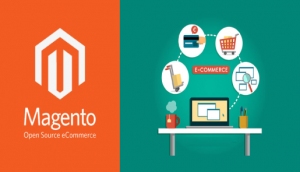 eCommerce Store Development