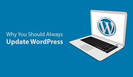 update wordpress