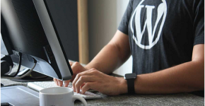 WordPress Trends