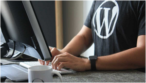 WordPress Trends