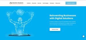 Solution analysts