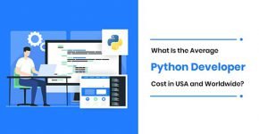 Cost of Python Dedicated Developers