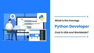 Cost of Python Dedicated Developers