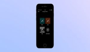 User account interface of Netflix’s mobile app